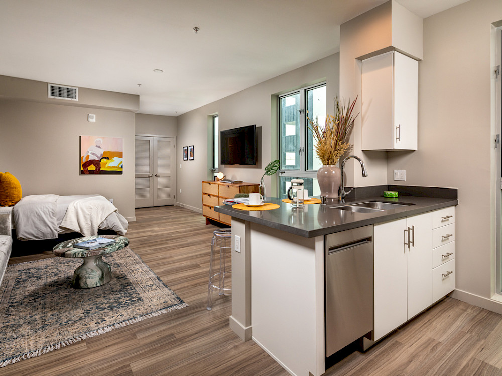 Single: Kitchen, Living Room, Bed