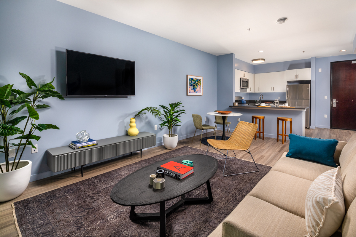 One Bedroom Living Room and Kitchen