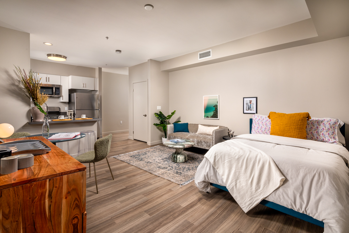 Studio Living Room and Kitchen