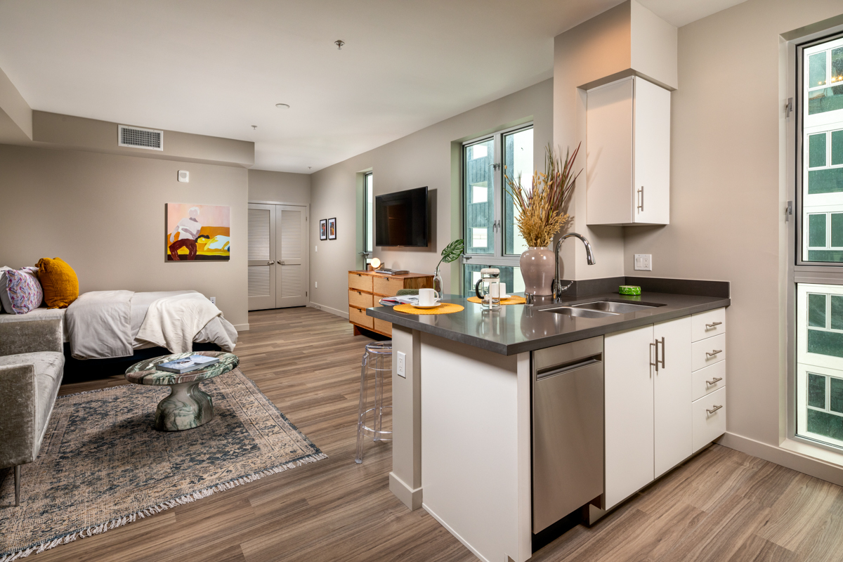 Studio Kitchen, Living Room and Bedroom